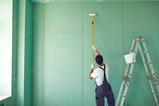 Trusted Allegan, MI Mold Removal Experts