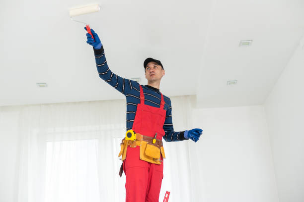 Best Environmental Consulting for Mold Prevention  in Allegan, MI